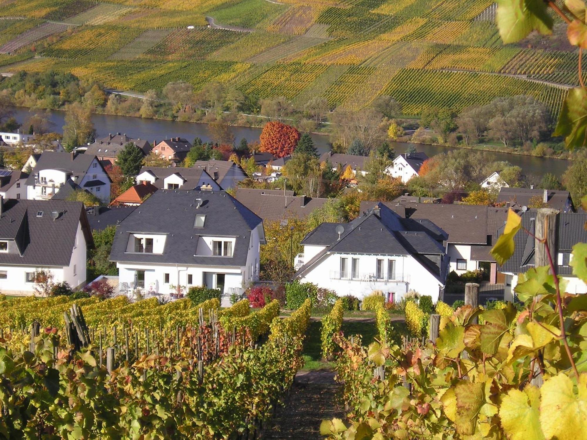 Roussel - Hotel Restaurant Bernkastel-Kues Eksteriør billede